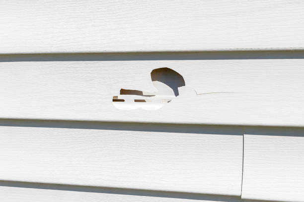 Best Demolition Debris Removal  in Newmanstown, PA