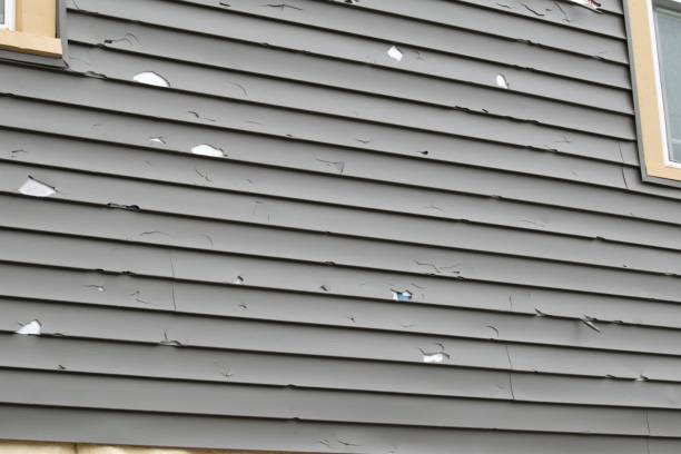 Best Residential Junk Removal  in Newmanstown, PA